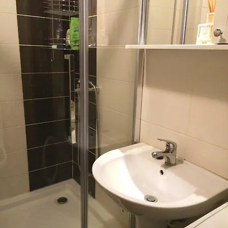 Tucan Apartament In The Heart Of Napoca * Cluj-Napoca